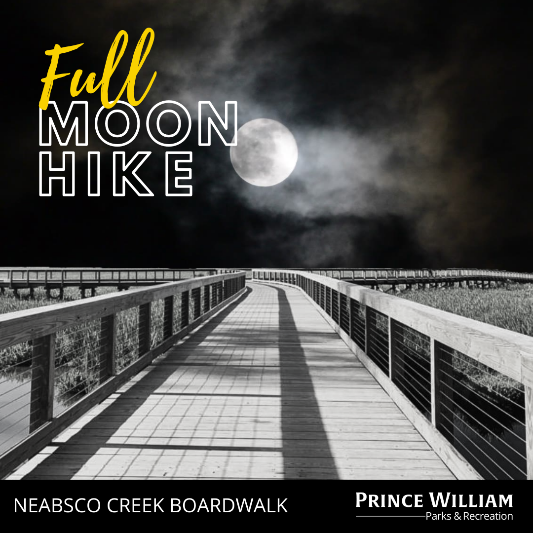Full Moon Hike
