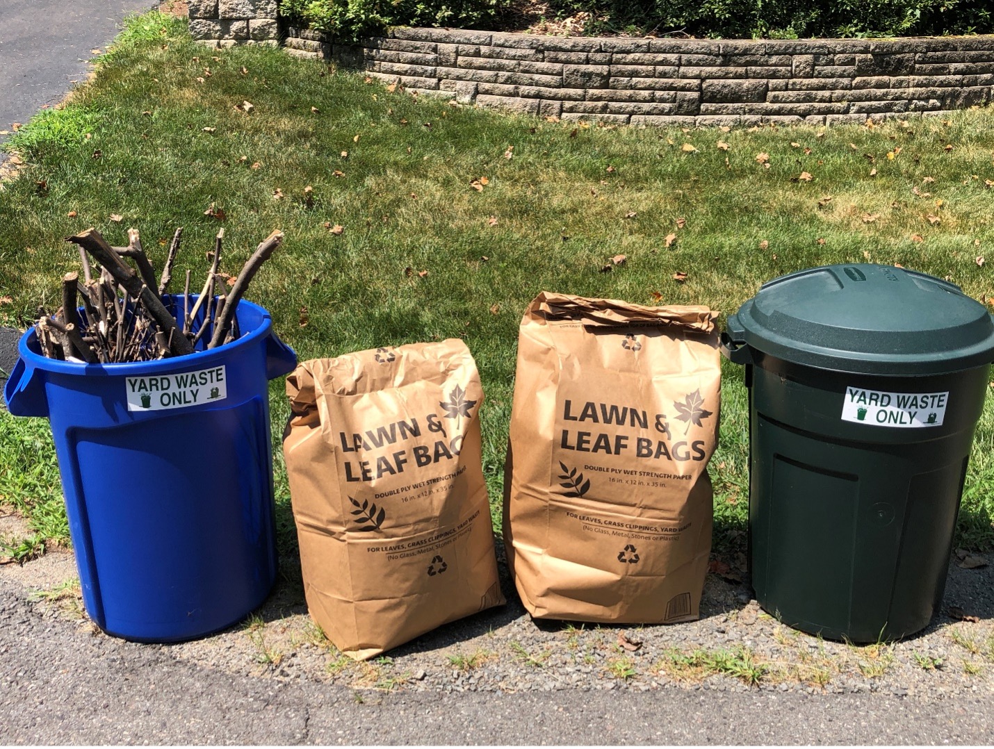 Single Paper Lawn & Leaf Bag