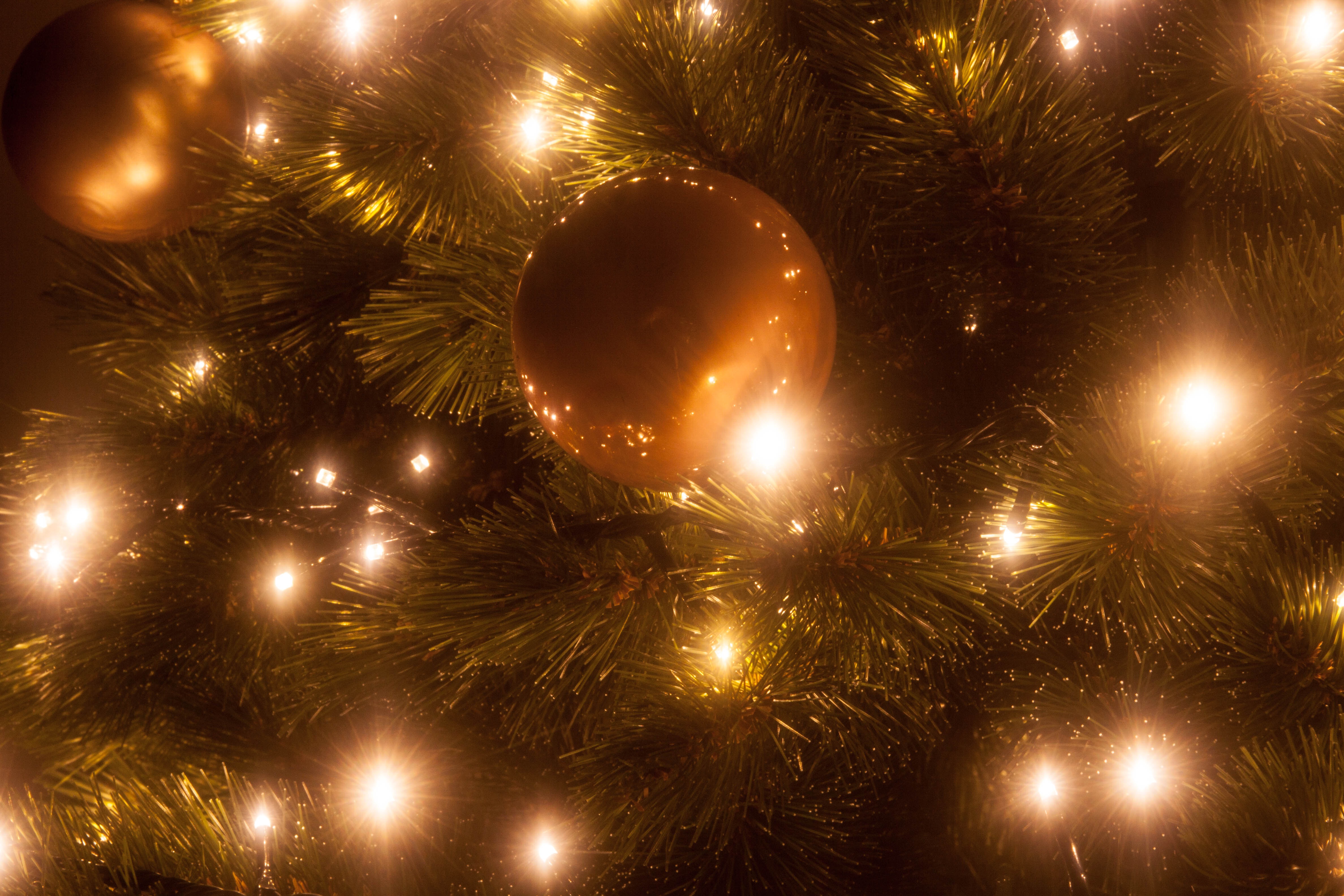 tree-branch-sparkler-holiday-christmas-new-year-767655-pxhere.com.jpg
