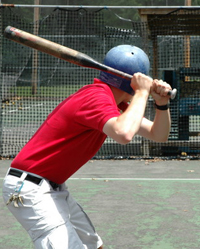 batting cages tab.jpg
