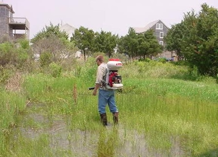 Mosquito Spraying