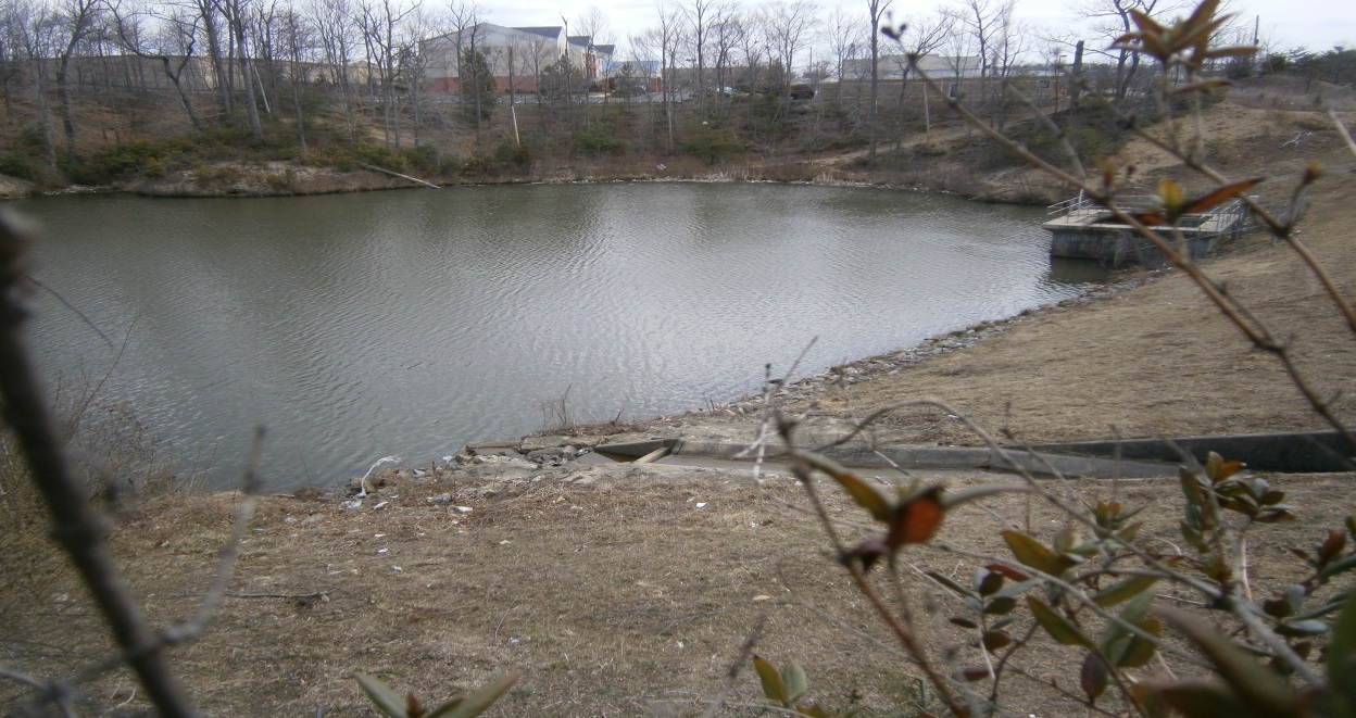 Stormwater Management Facility