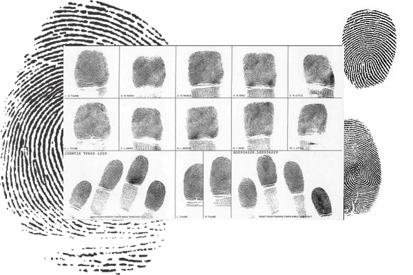 fingerprints.jpg