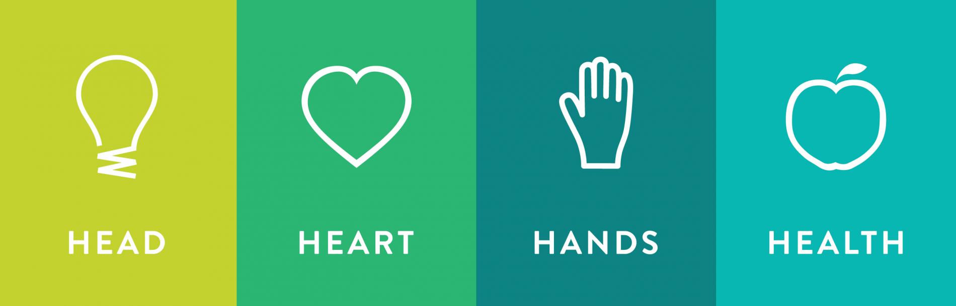 4-H Head, Heart, Hands and Health logo