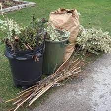 skip bolsas for garden waste