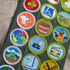 Scouting Badges