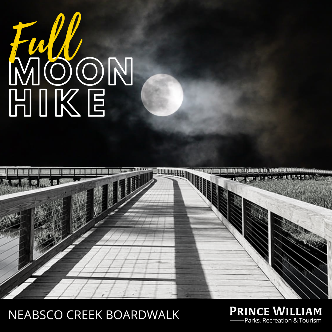 Full Moon Hike at Neabsco Creek Boardwalk