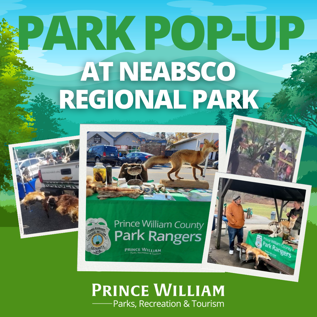 Park Pop-Up at Neabsco Regional Park