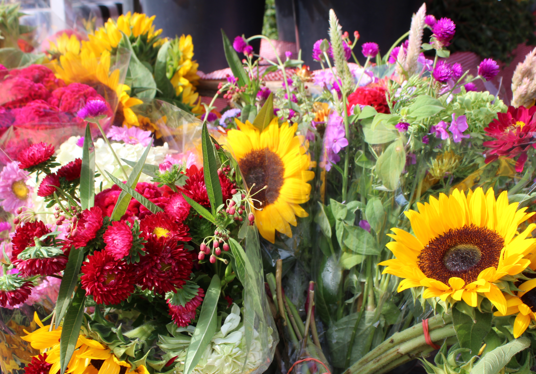 Fresh Flowers