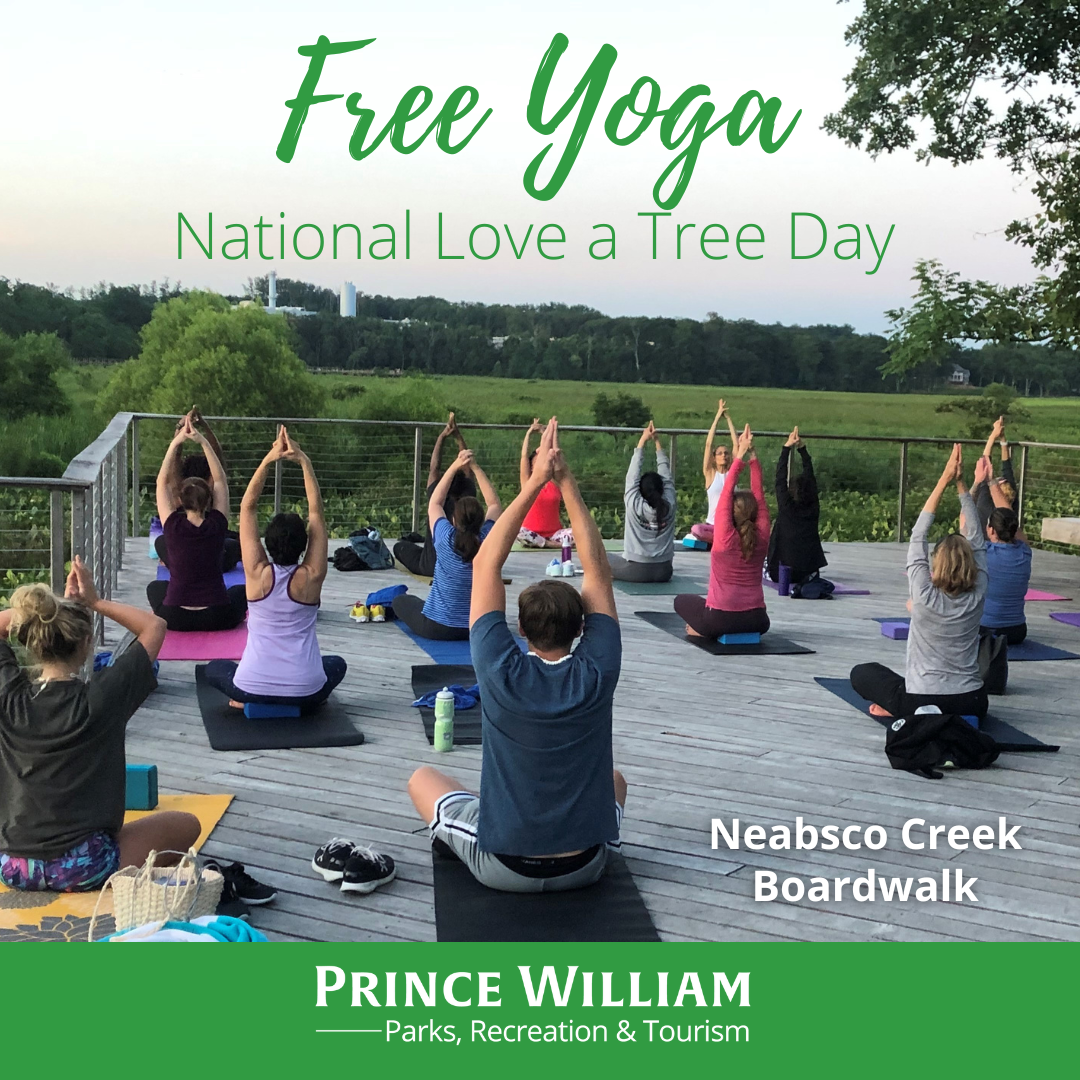 Free Yoga on National Love a Tree Day