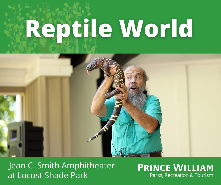 Reptile World