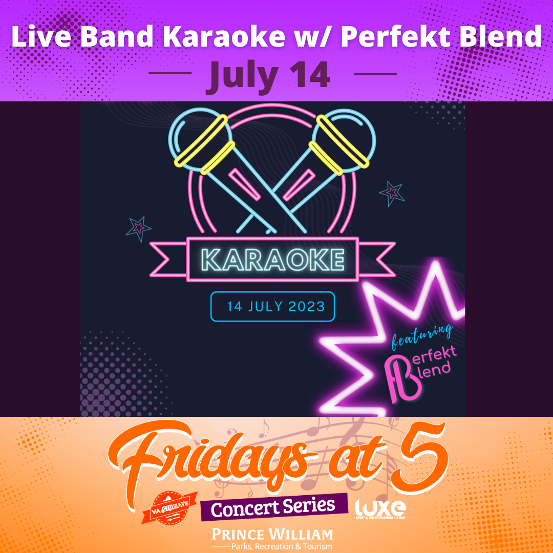 Live Band Karaoke with Perfekt Blend