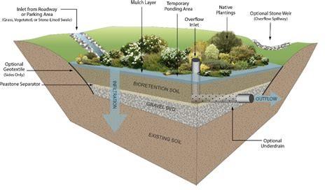 Bioretention Section View