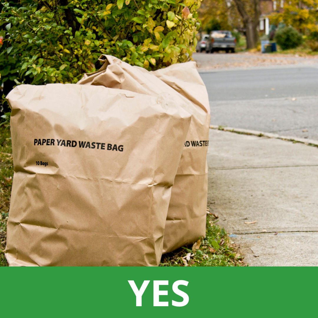 Paper Bag with text reading yes