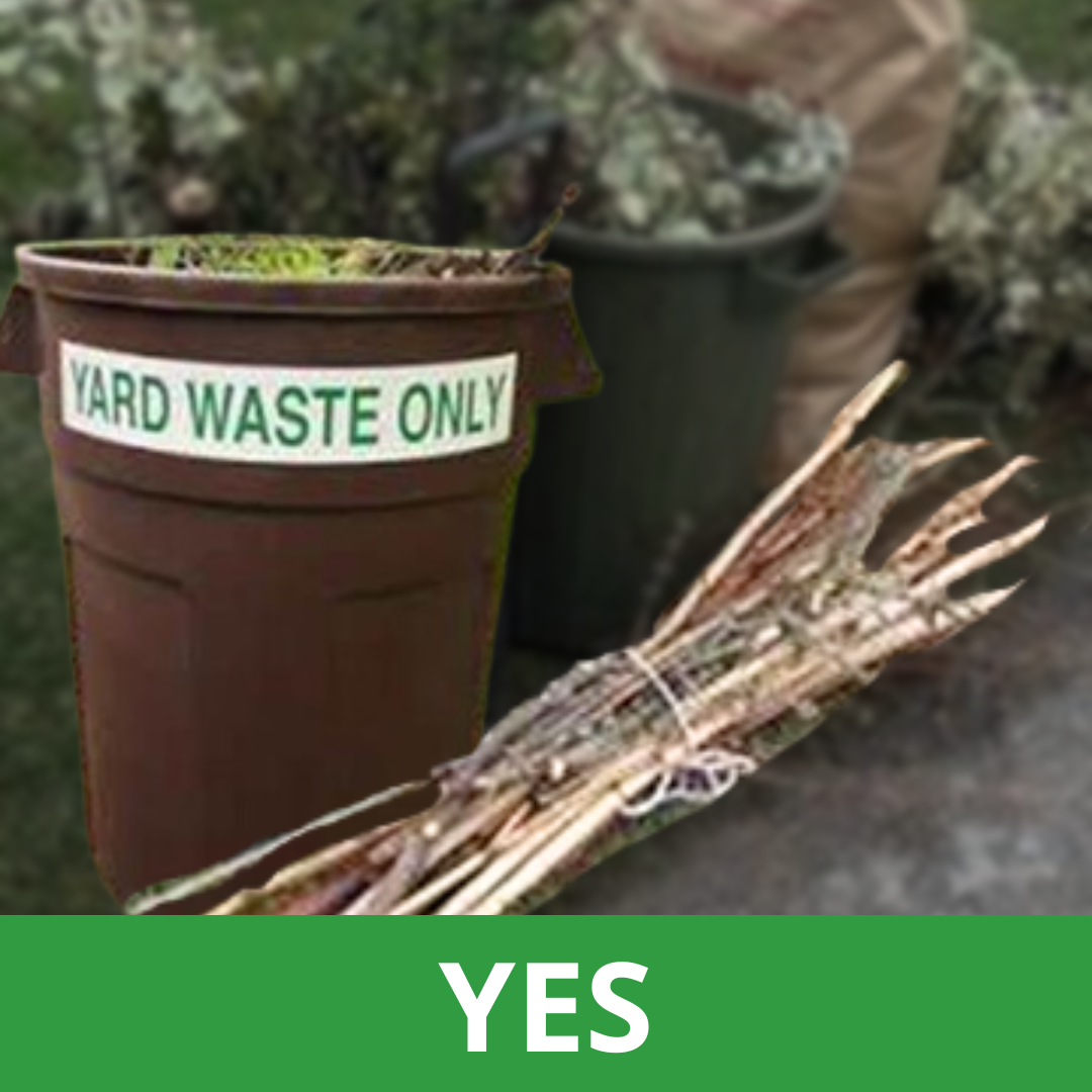 Plastic Container and Bundle of Sticks Reading Yes