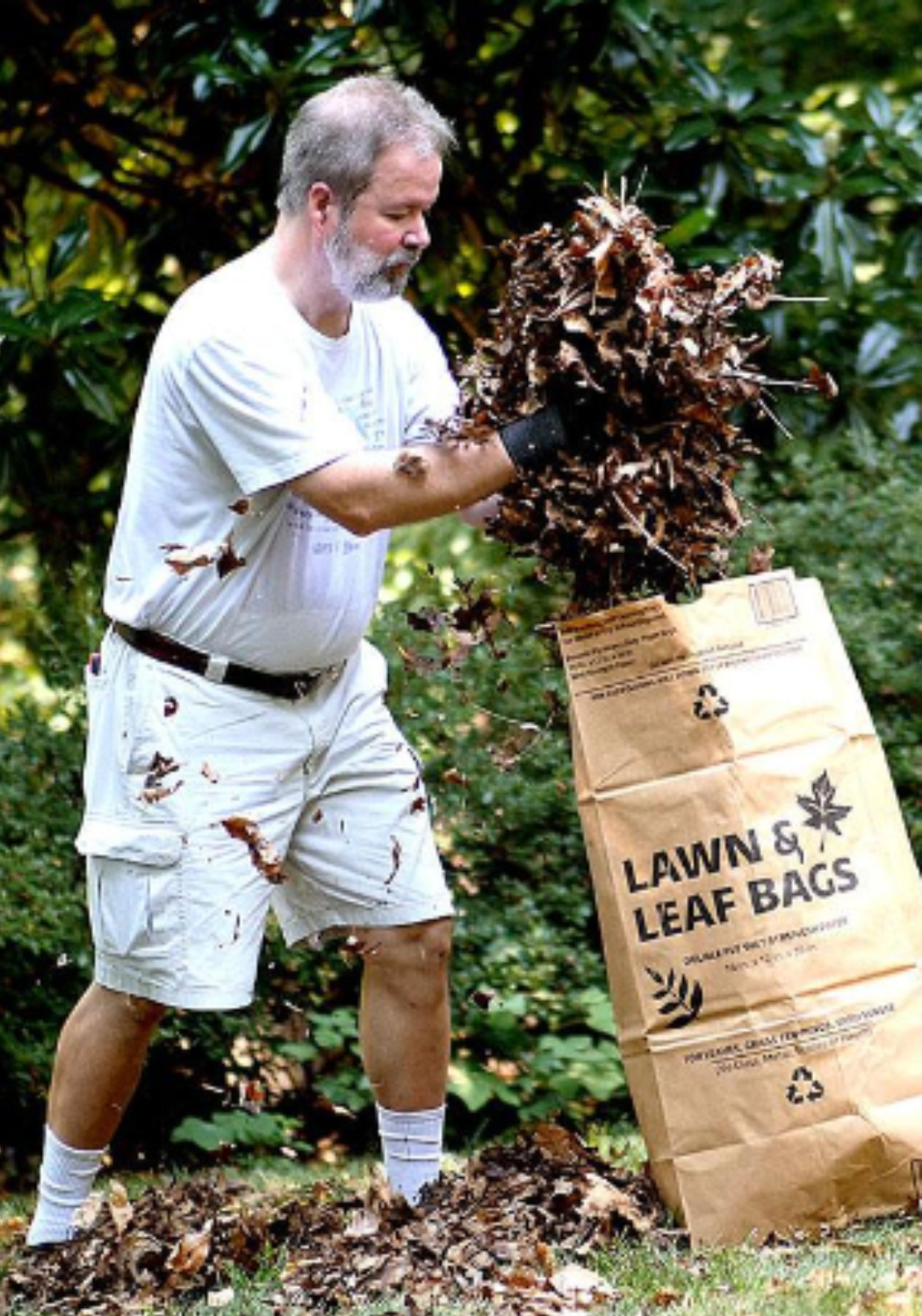 Resident placing leaves in yard waste paper bag