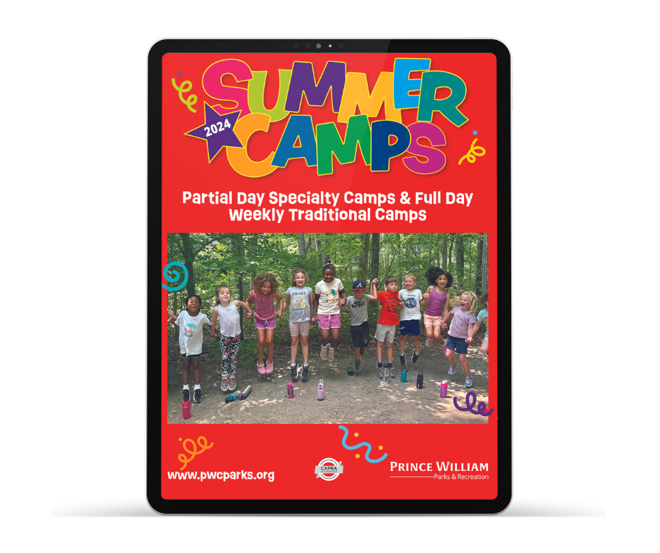 Summer Camps