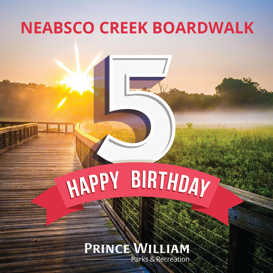 Neabsco Creek Boardwalk