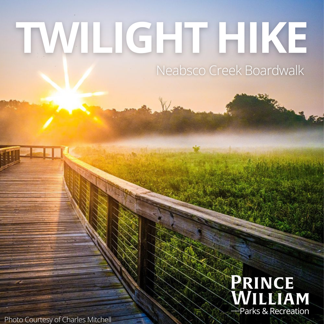 Twilight Hike