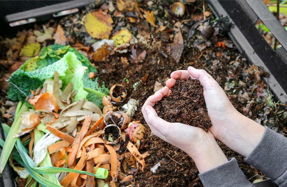 Compost with Fall Leaves