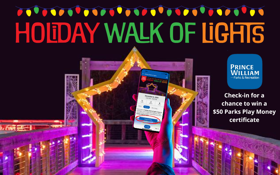 Holiday Walk of Lights