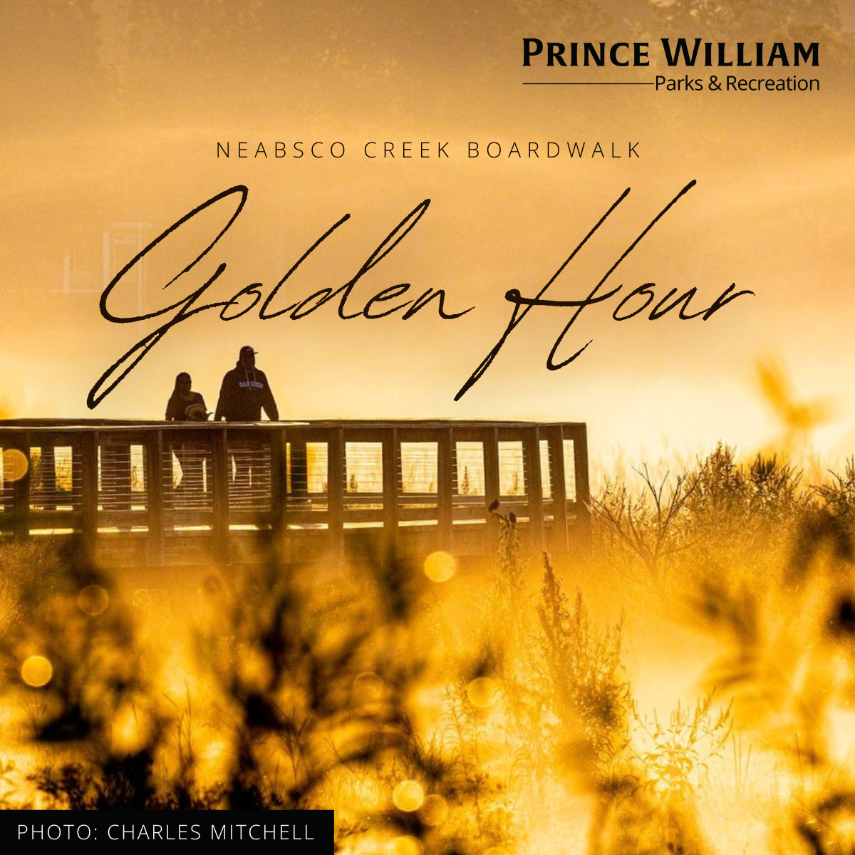 Golden Hour