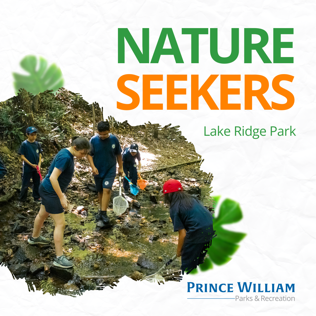 Nature Seekers