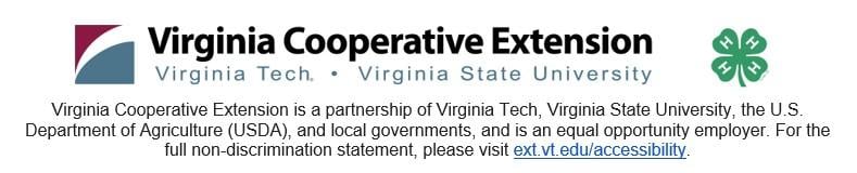 VCE logo + non discrimination statement
