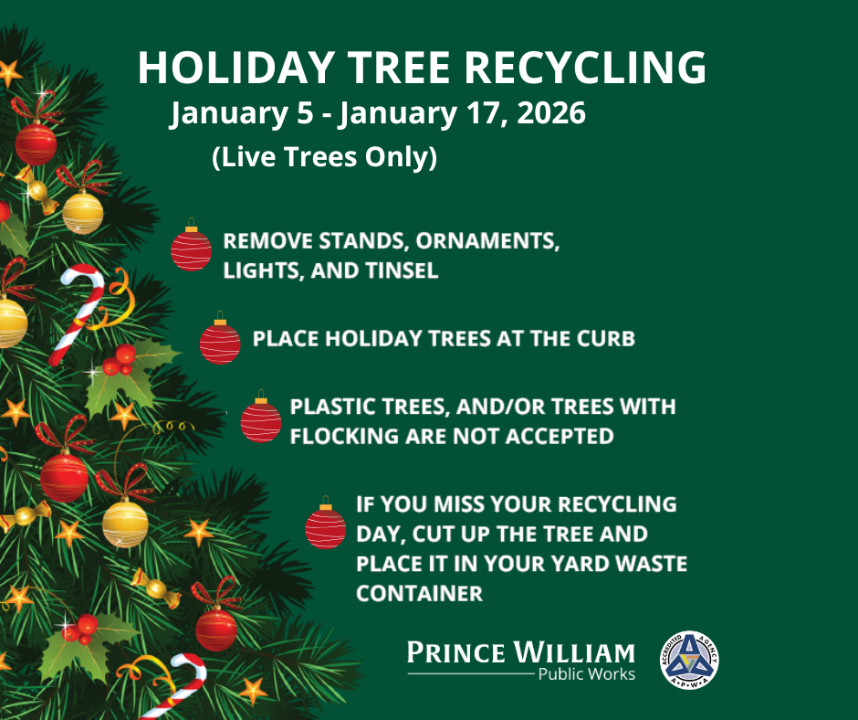 Christmas Tree with tree pick up guidelines and dates