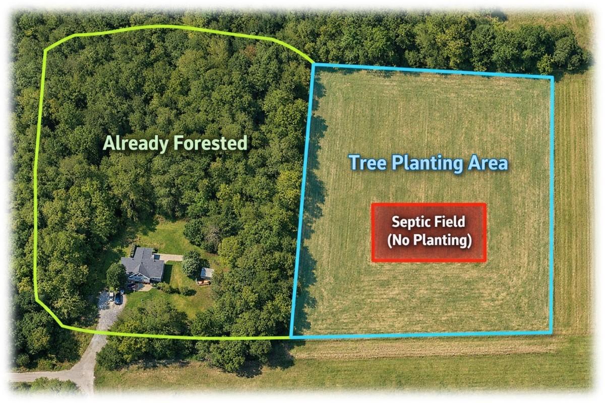 Aerial view of a rural property with colored outlines and labels. A green-outlined area on the left is labeled “Already Forested” and contains a home surrounded by trees. A blue-outlined open field on the right is labeled “Tree Planting Area,” with a red box inside marked “Septic Field (No Planting),” indicating where trees should not be planted.