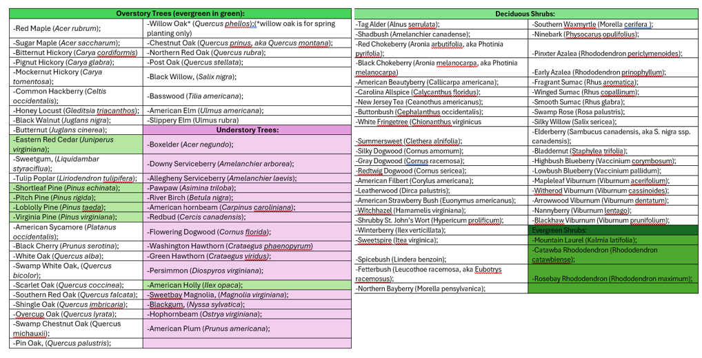 Wide table listing native plant species by category, with color-coded sections. Columns include Overstory Trees (evergreen highlighted in green), Understory Trees (shaded purple), Deciduous Shrubs, and Evergreen Shrubs (green). Each section lists common names followed by scientific names, presenting approved species options for a forest planting plan.