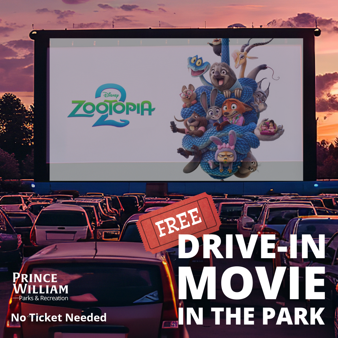 Drive-in Movie in the Park