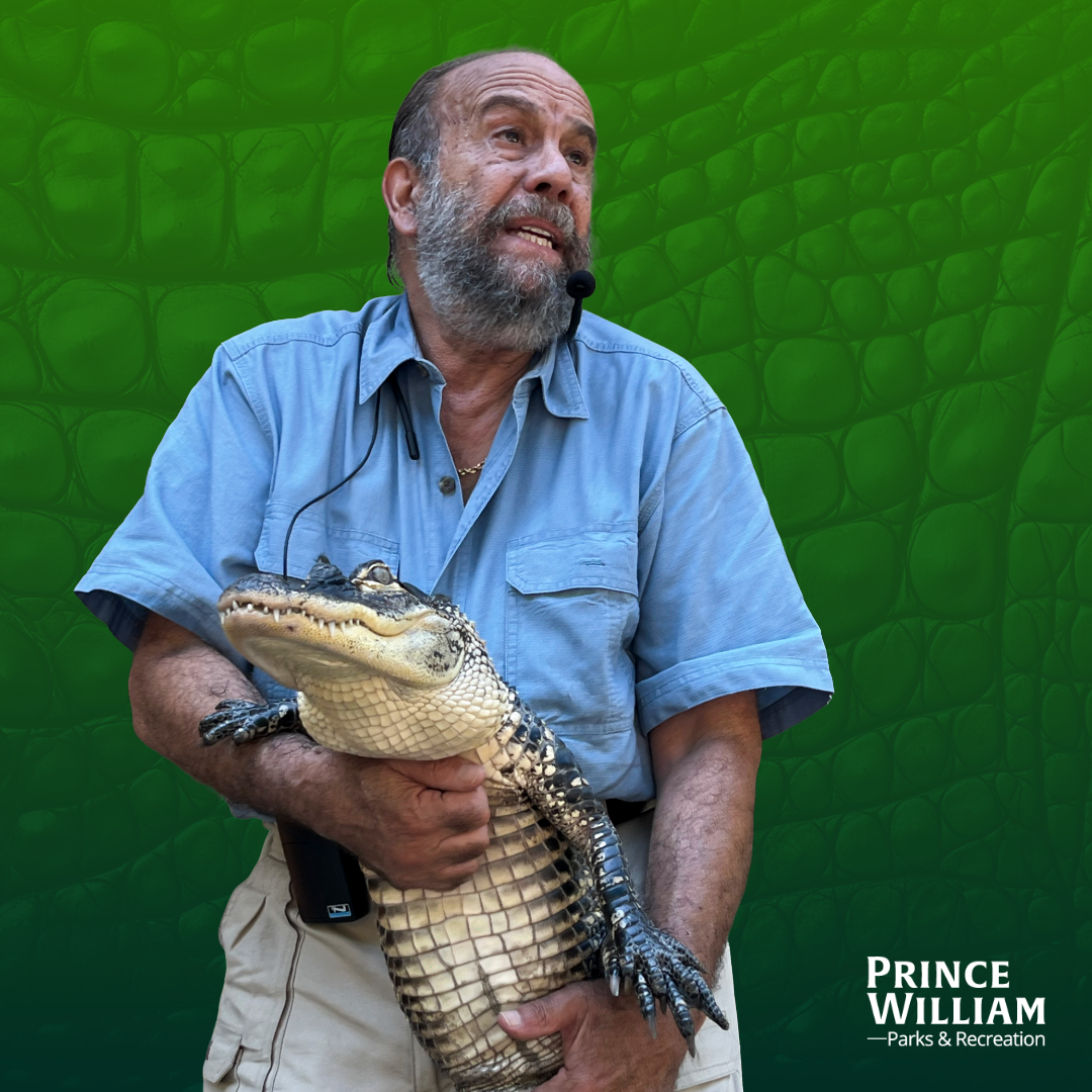Reptile World