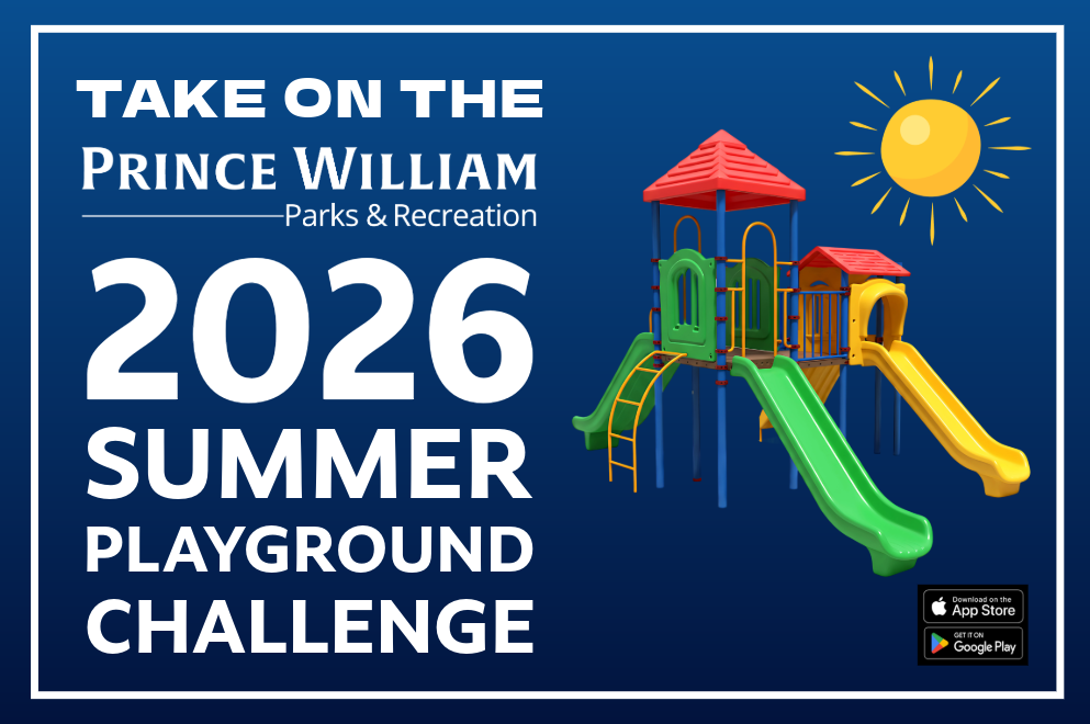 Summer Playground Challenge