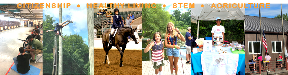 a collage of 4-H youth involved in shooting sports, high ropes, horseback riding, fishing, selling at a farmers market, and raising the US flag at camp.