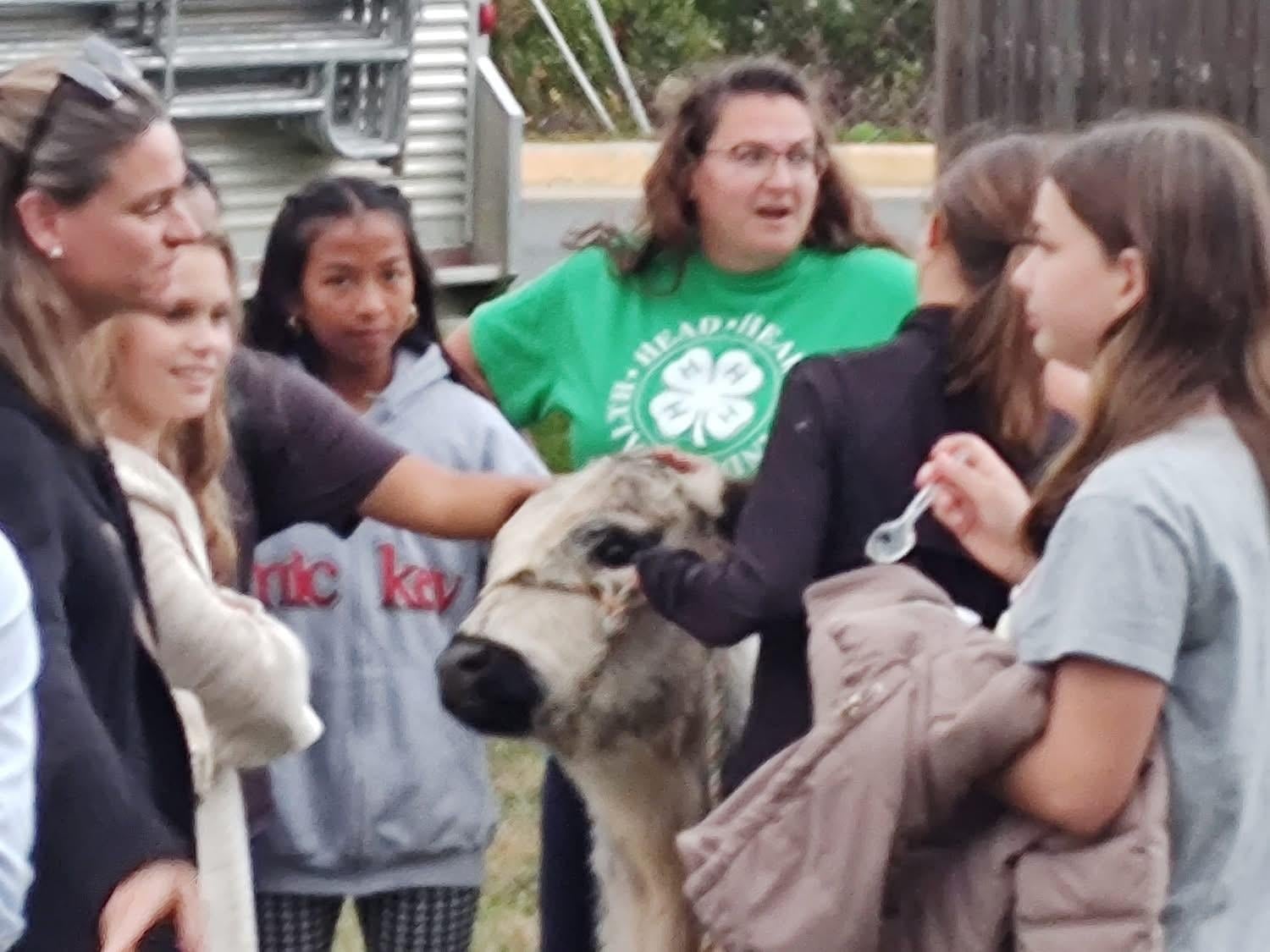 Nokesville 4-H Club members with a cow.