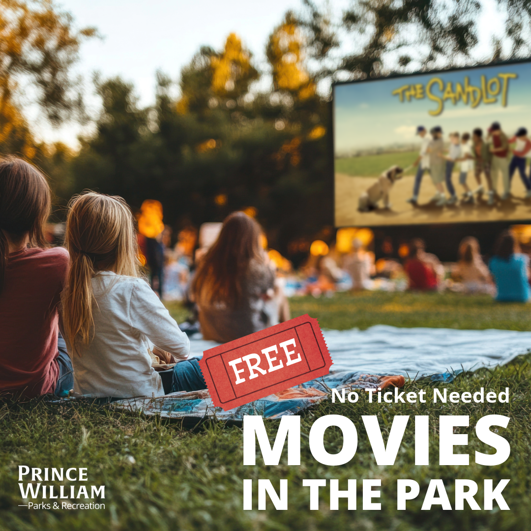 Movies in the Park: The Sandlot