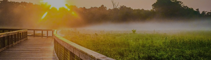 Neabsco Creek Boardwalk at sunset