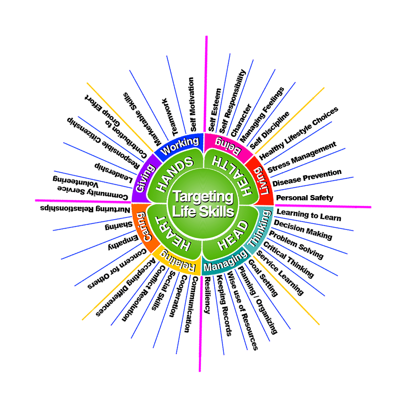 National 4-H Targeting Life Skills Wheel