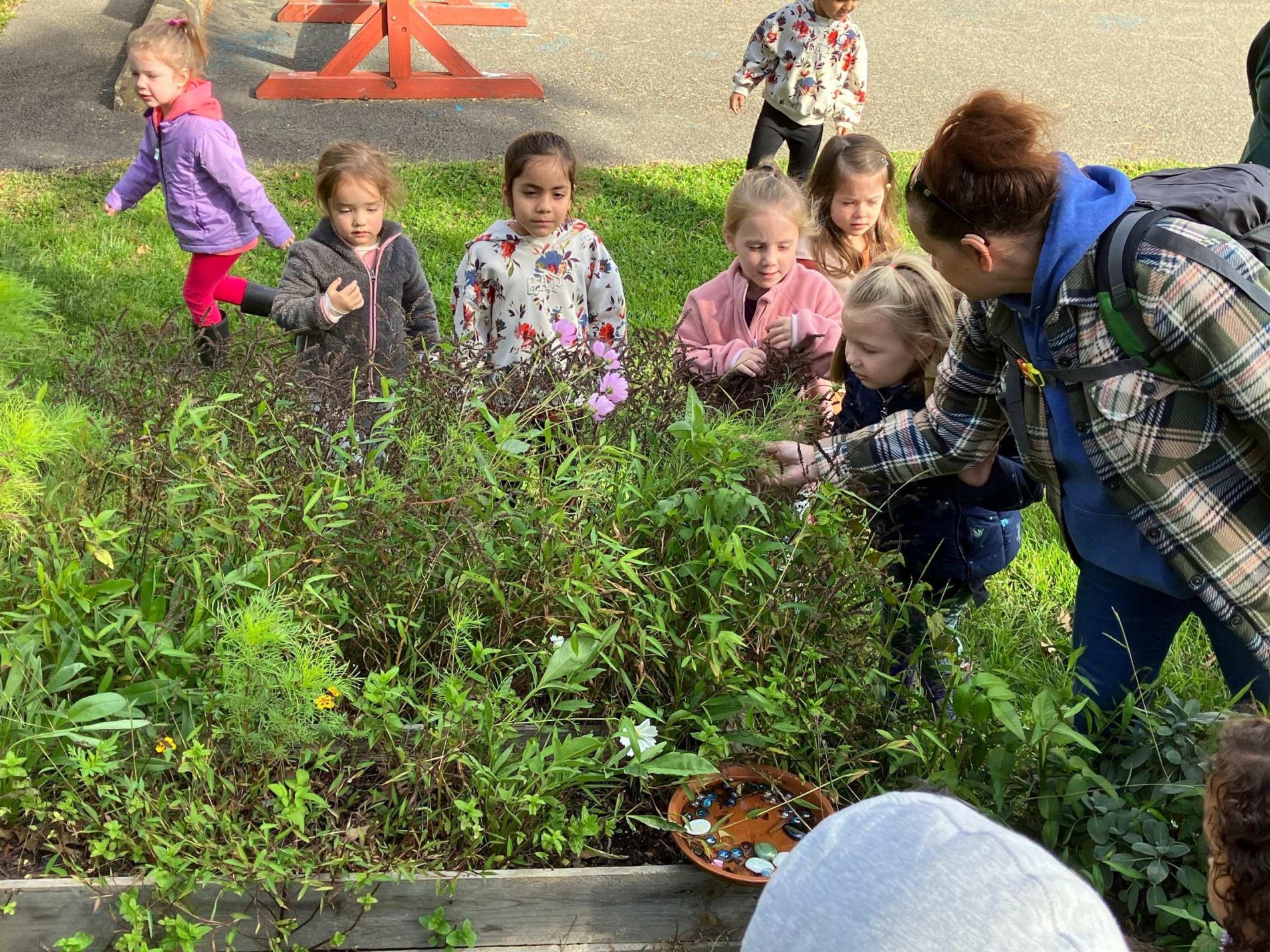 Gro Preschool