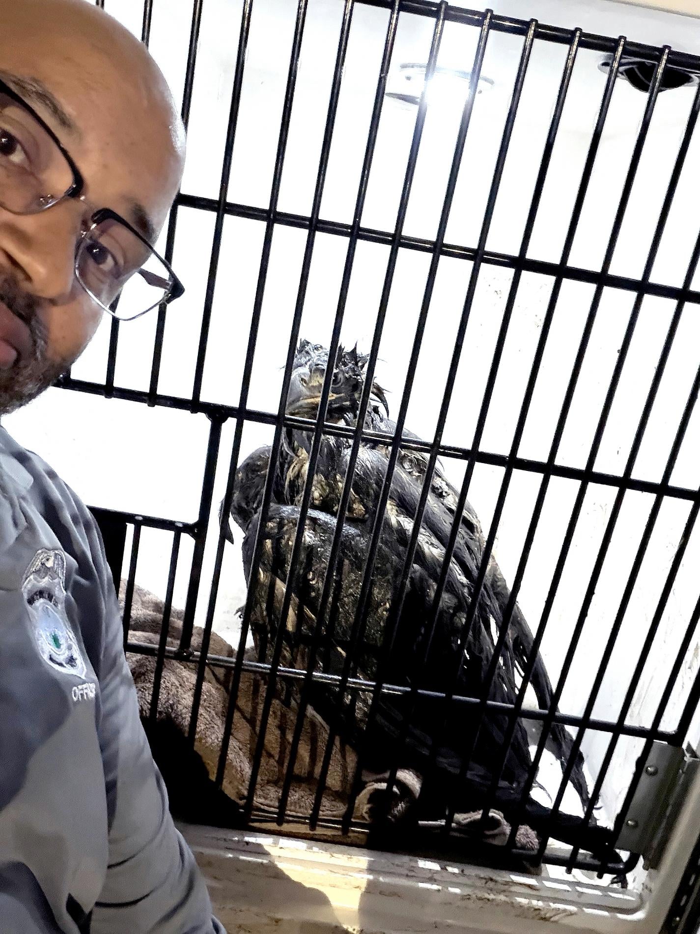 Animal control officer Brent White with an eagle