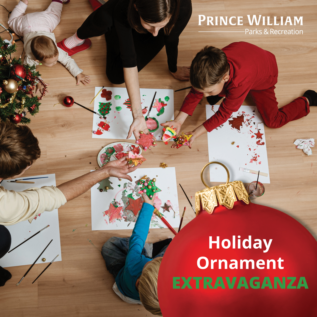 Holiday Ornament Extravaganza