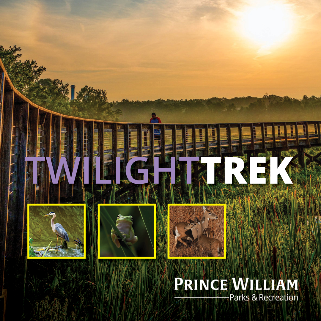 Twilight Trek